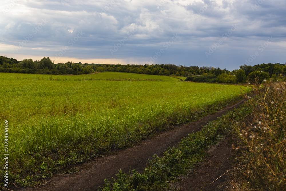 Obraz premium Lush green field with a dirt path winding through it under a cloudy sky, surrounded by trees and vegetation in a rural landscape