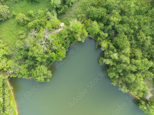 фотографія Aerial view of tranquil green lake and tropical forest