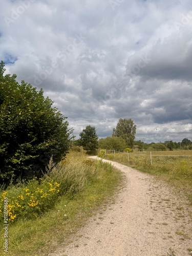 fields in the countryside, rural summer landscape without people