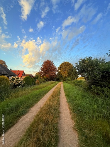 fields in the countryside, rural summer landscape without people