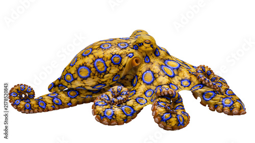 Foto Vibrant yellow octopus with blue rings, isolated on transparent background