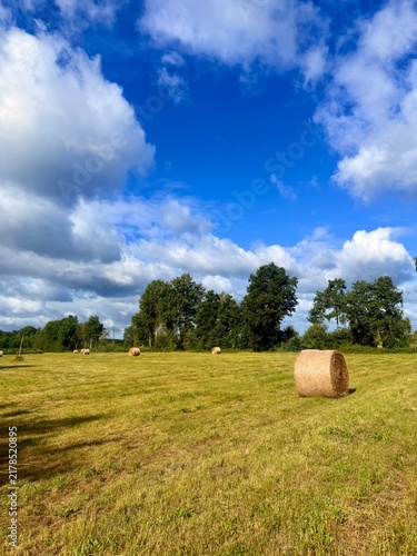 fields in the countryside, rural summer landscape without people