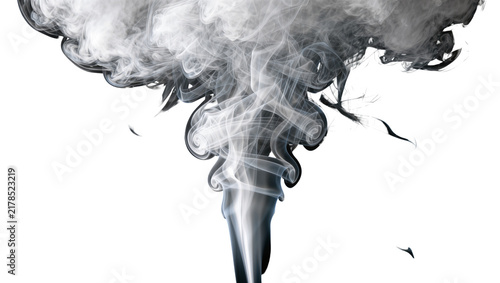 Quadro su tela Dark grey and white swirling smoke plume, isolated on transparent background