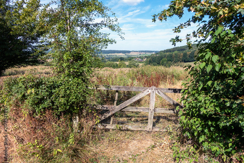 Glooiend landschap in de buurt van Camerig in Zuid-Limburg met een houten hek in het midden, omringd door groene begroeiing en struiken, onder een blauwe lucht met wolken