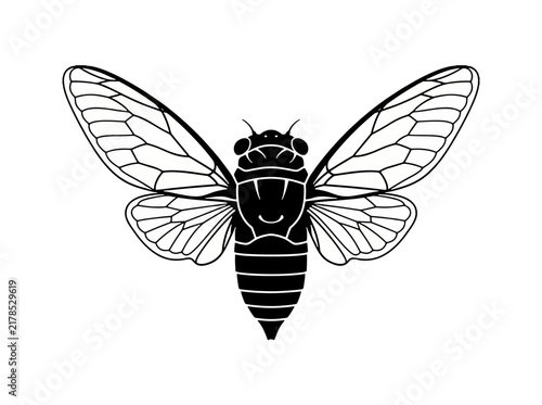 A minimalist black and white cicada insect illustration - ideal for nature-themed designs, educational content, biological diagrams, and minimalist branding