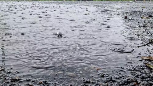 Heavy rain falling on asphalt surface creating ripples and splashes in a large water puddle with raindrops falling onto video heavy precipitation environment atmospheric