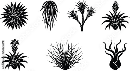 Set of black silhouette tropical air plants and succulents