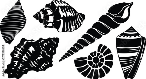 Set of black silhouette sea shells and ocean mollusks