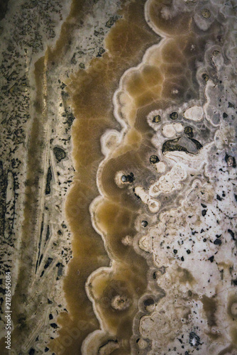 View Of Egyptian Alabaster Texture In Column