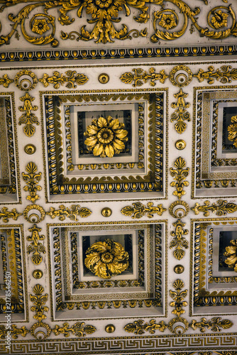 View Of Gilded Flowers On Coffered Ceiling