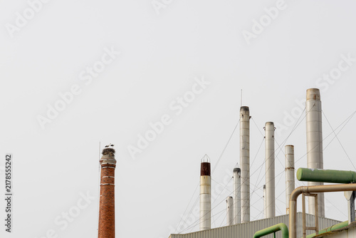 Картината върху платно Storks nesting on industrial chimney symbolizing coexistence