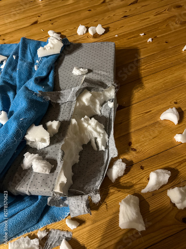 Destroyed Foam Cushion and Blue Blanket on Wooden Floor