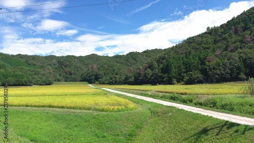 秋と棚田