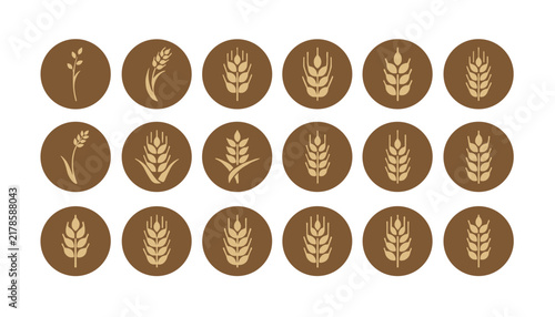 Circular brown icons depicting eighteen different varieties of wheat, barley, and grain ears ideal for bakery and agriculture designs.
