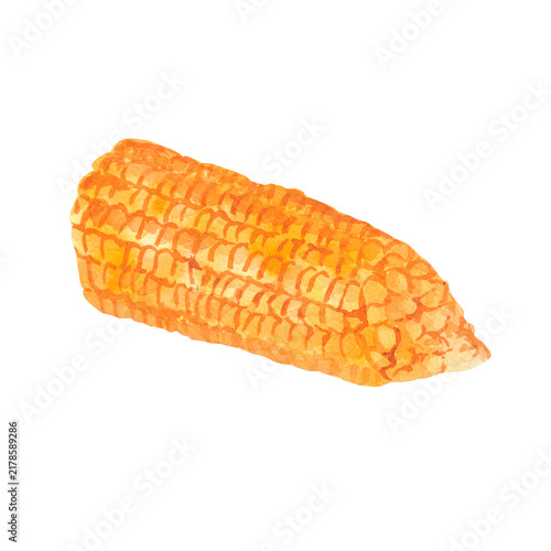 Isolated watercolor illustration of a yellow corn cob shown from the side. Ideal for rustic agricultural packaging, organic food branding, and botanical graphic art.