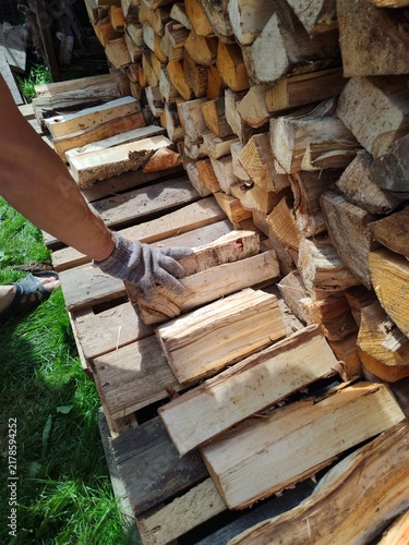 Canvas Print Man wearing gloves stacking chopped firewood for storage and future use, representing sustainable living and winter preparation