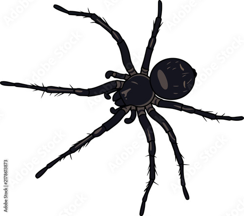 A black spider illustration for Halloween