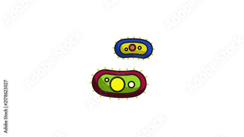 Two colorful unicellular microorganisms with bright internal cells suitable for science textbooks, educational materials, and biology websites.