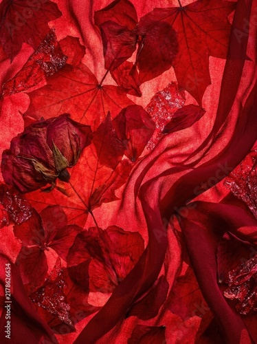 Dried red rose and autumn maple leaves on red chiffon fabric with water drops. Elegant floral background in monochrome red tone. Autumn and valentine day concept for greeting card design.