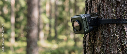 Trail camera mounted on tree in forest for wildlife monitoring and outdoor surveillance