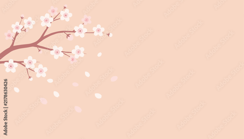 Fototapeta premium Soft pink cherry blossom branch with blooming sakura flowers and falling petals on warm pastel background, vector.