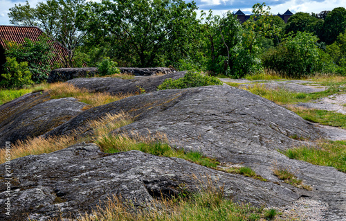 Rounded Ice Age humps of granite rocks in Bellevueparken, a part of the Royal National City Park  in the center of Stockholm, Sweden