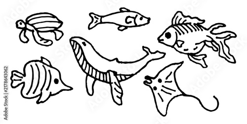 Hand drawn pen drawings of fish such as whales, turtles, stingrays