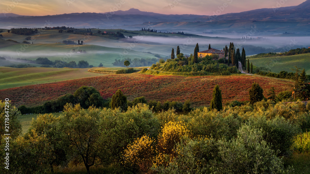 Obraz premium Tuscan rolling hills with fog at sunrise.