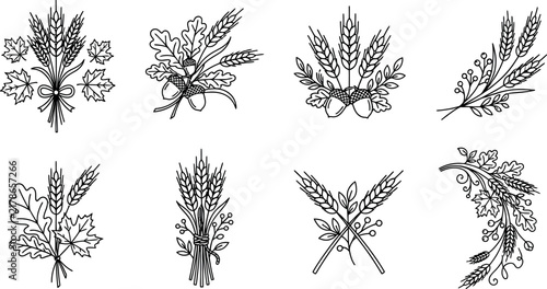A Set of Eight Elegant Hand-Drawn Autumnal Botanical Illustrations Featuring Wheat Stalks, Maple Leaves, Oak Leaves, and Acorns in a Minimalist Black and White Style