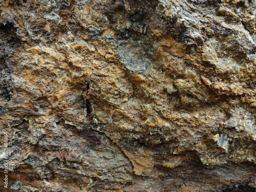 Photography Extreme close up texture of hardened golden tree resin sap on old wood trunk res