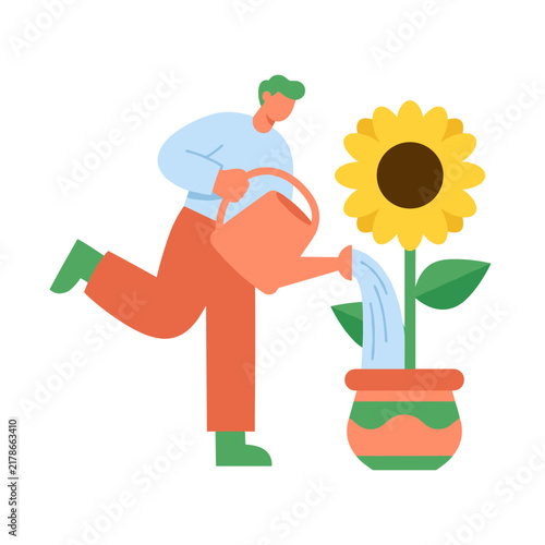 Gardener watering a potted sunflower with a watering can flat design illustration