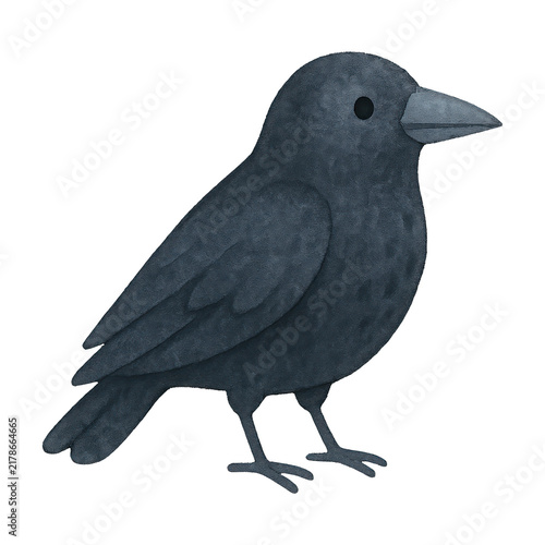 PNG Whimsical crow illustration for design.