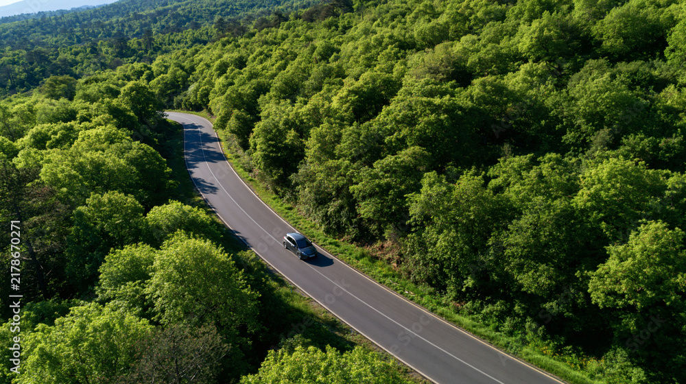 Obraz premium Serene Forest Drive: An aerial view captures a car navigating a winding road through a lush, verdant forest, highlighting the beauty of nature and the freedom of the journey.