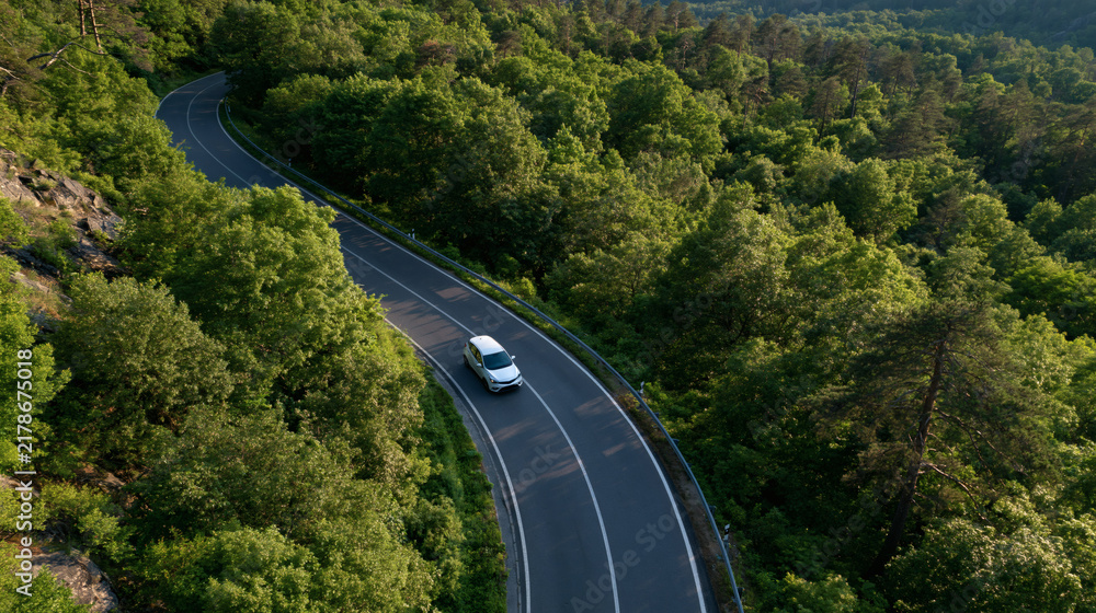 Obraz premium Scenic Drive Through Verdant Forest: A solitary car navigates a winding asphalt road carving through a dense, lush green forest, showcasing the beauty of a natural landscape and the freedom of travel.