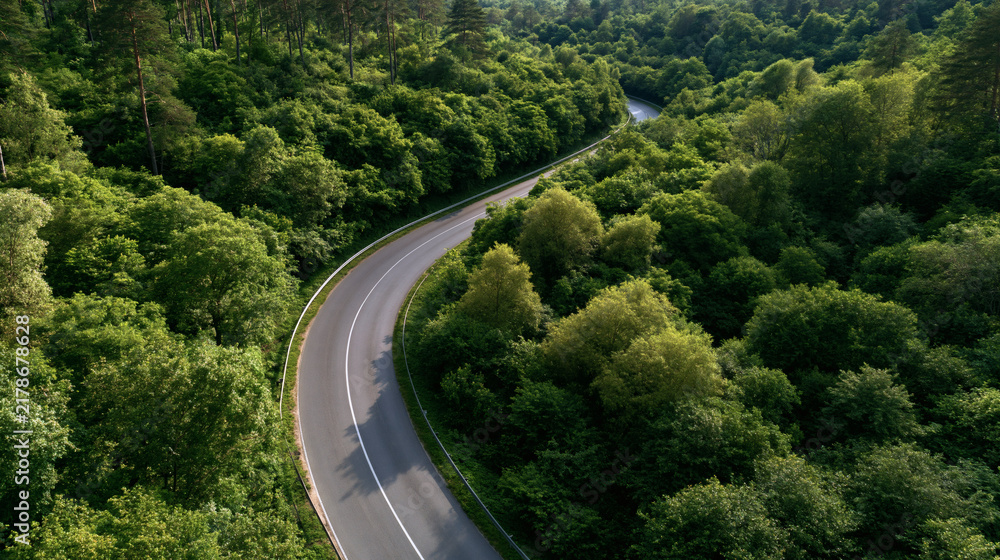 Fototapeta premium Winding Road Through Lush Forest: An aerial view of a scenic asphalt road curving through a dense, vibrant green forest, hinting at adventure and exploration.