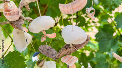 Obraz na plátně Handmade seashell wind chime hangs from a wooden pergola amidst green leaves