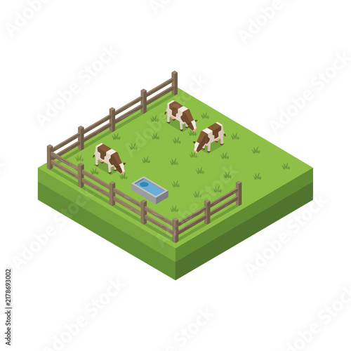 Obraz na plátne Isometric Illustration Featuring Three Brown And White Cows Grazing On A Green F