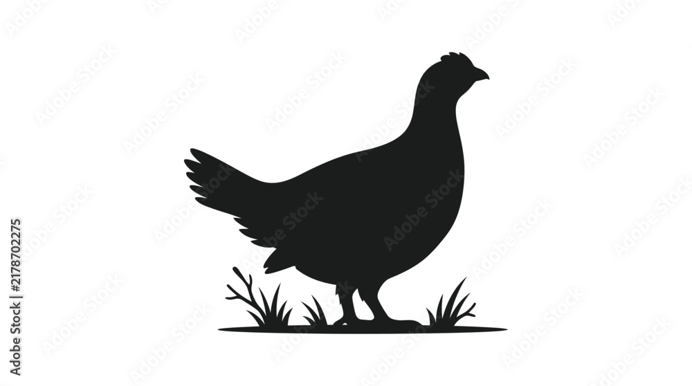 Fototapeta premium A hen stands amongst grass depicted as a black silhouette
