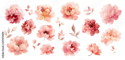 Set of soft pink vector abstract watercolor flowers and leaves, varied abstract roses and peonies, airy blurred floral elements for wedding invitations greeting cards packaging fabric scrapbooking