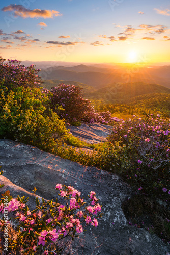sunrise over summer foliage, linville gorge, north carolina