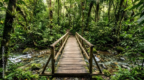 Wooden footbridge crossing a stream in a lush tropical rainforest jungle environment