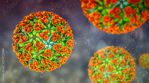Chikungunya virus particles, 3D illustration showing enveloped spherical virions with surface protein lattice structure, drifting in fluid with subtle motion