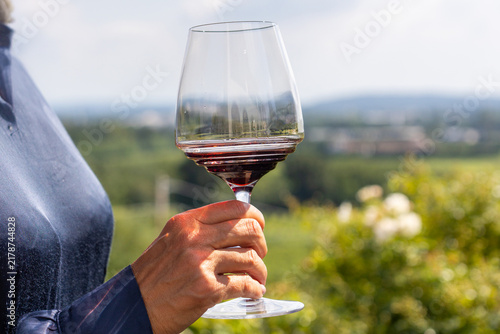 Konstfotografi Hand holding red wine glass in vineyard hillside landscape elegant outdoor wine