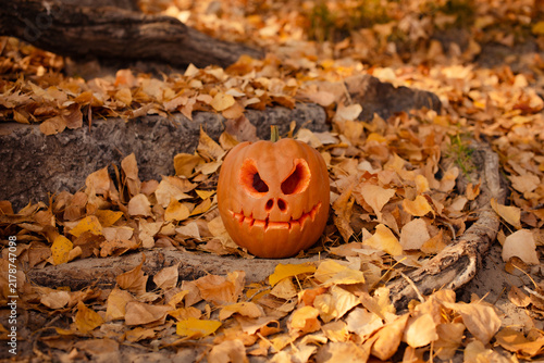 Bild auf Leinwand Carved horrible Halloween pumpkin in autumn forest covered with fallen leaves