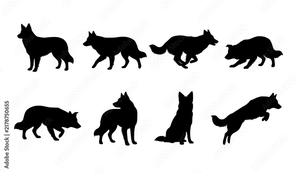 Obraz premium Border Collie Dog Silhouette Set with Herding Poses Black Vector Collection