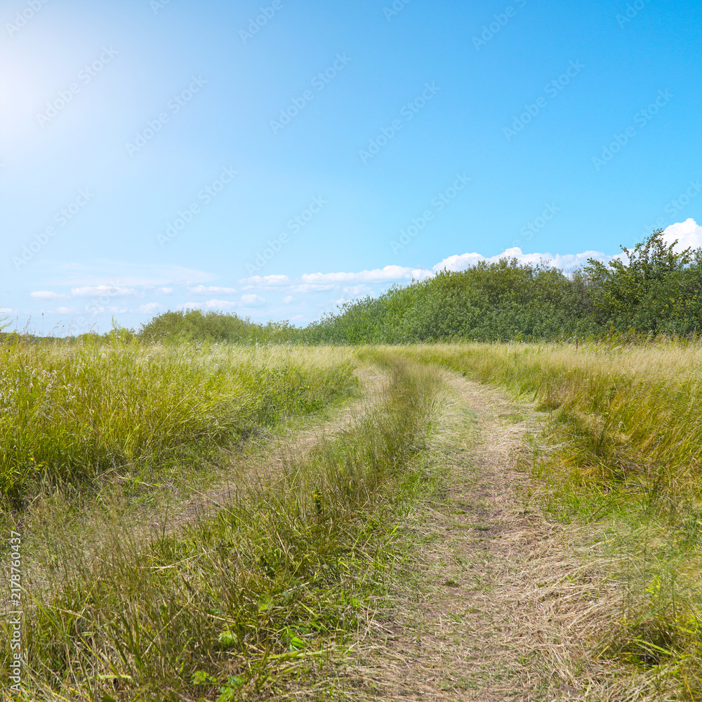 Naklejka premium Dirt path through a grassy field under a blue sky