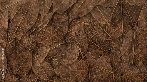 Rich dark brown soil texture for gardening background