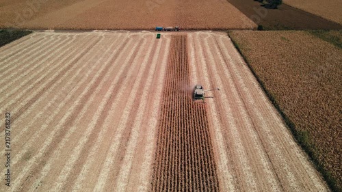 Agricultural Combine Working During Corn Harvest