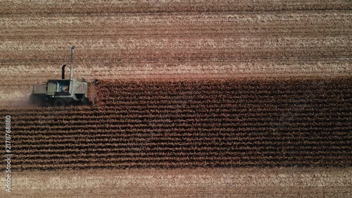 Combine Harvester Cutting Corn in Agricultural Field