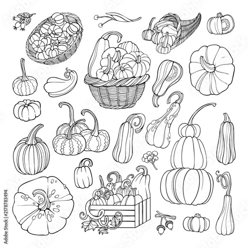 Black Outline Autumn Harvest Pumpkin and Gourd Set